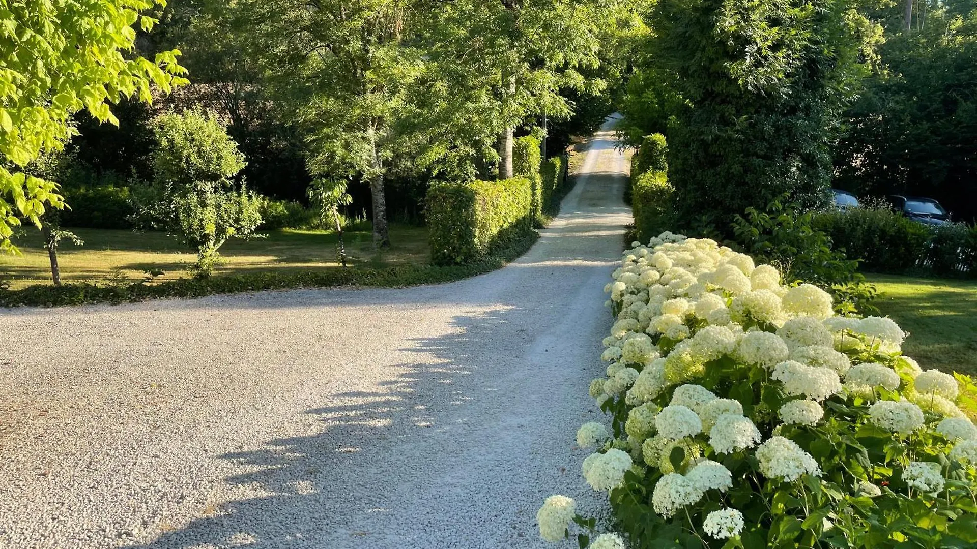 Couette-café B&B Culinaire La Mouline Belveze